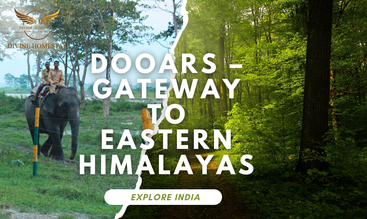 Dooars – Gateway to Eastern Himalayas